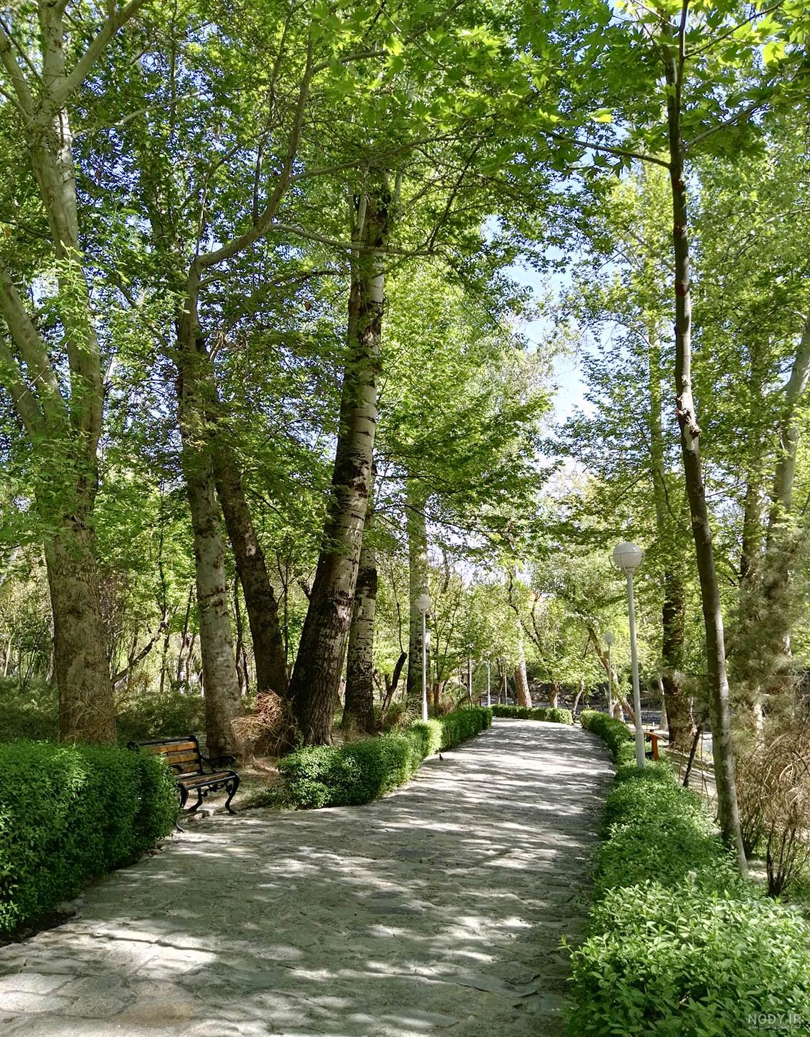 زیباترین عکسهای طبیعت
