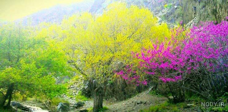 شهر تاریخی خراسان رضوی