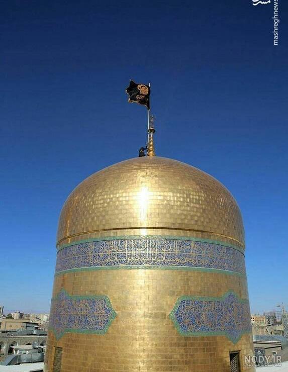 عکس حرم امام رضا با کبوتر