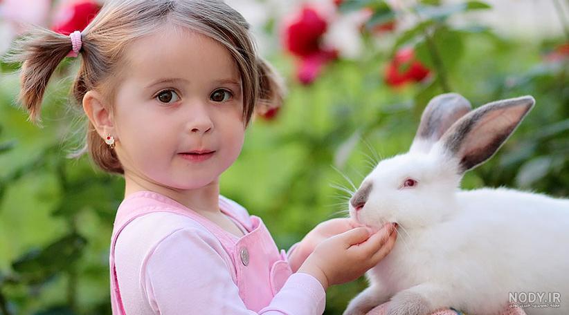 عکس خرگوش بزرگ عکس خرگوش بزرگ