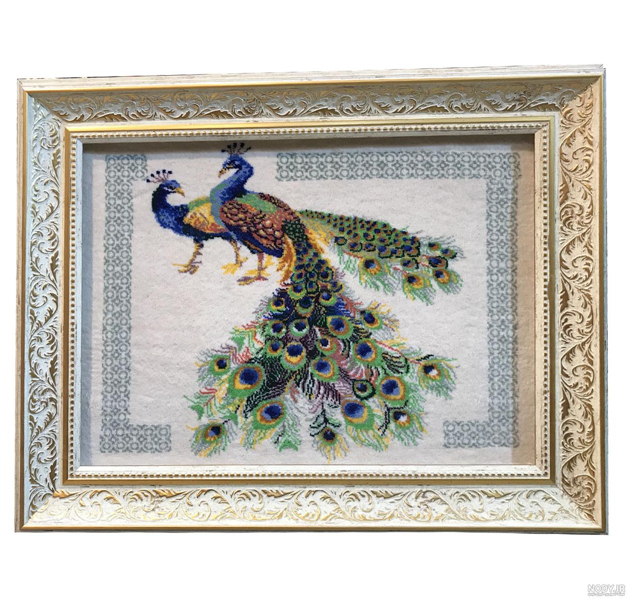 عکس طاووس واقعی