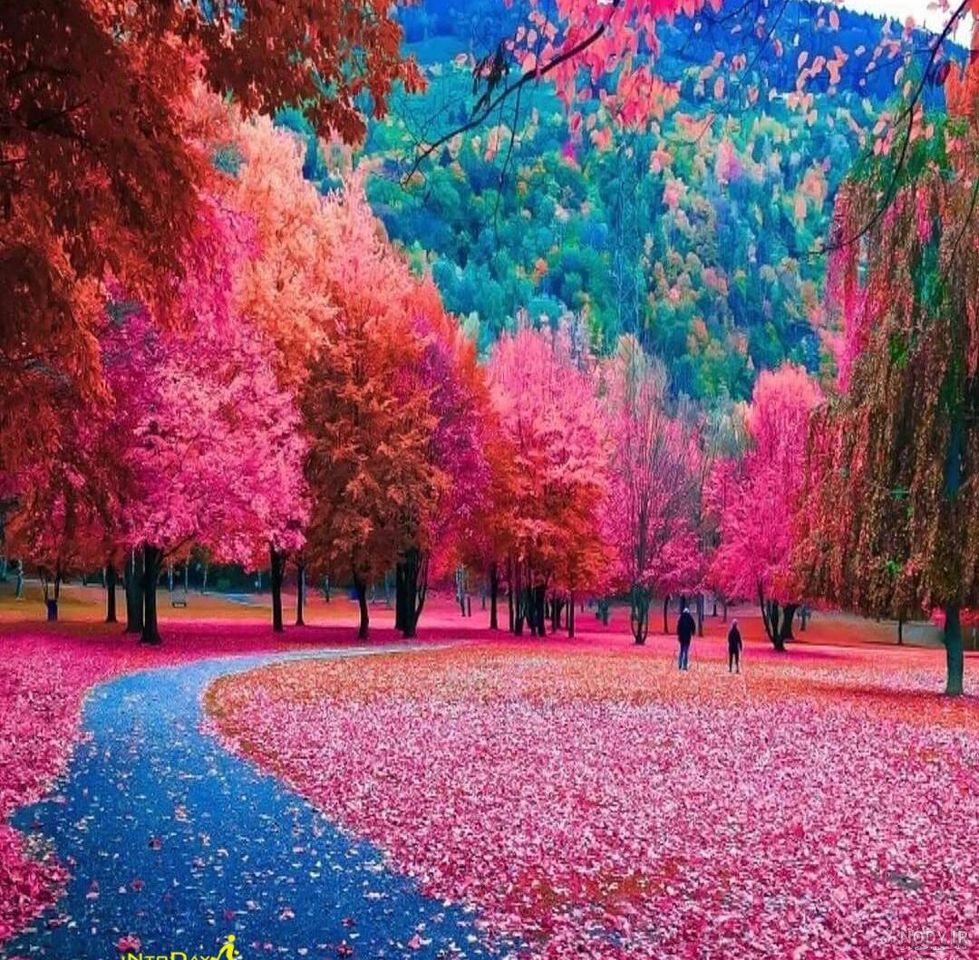 عکس طبیعت بهاری ایران