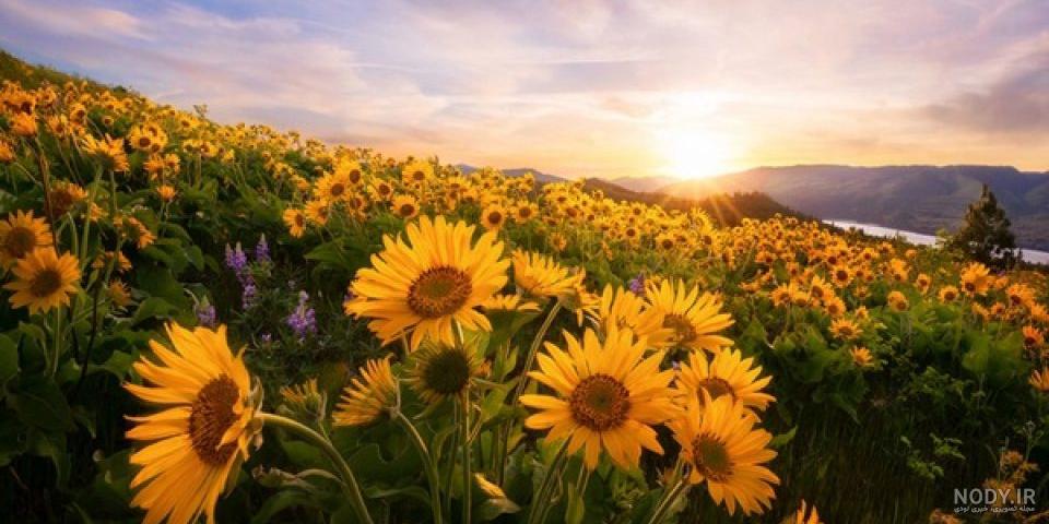 عکس طبیعت رویایی