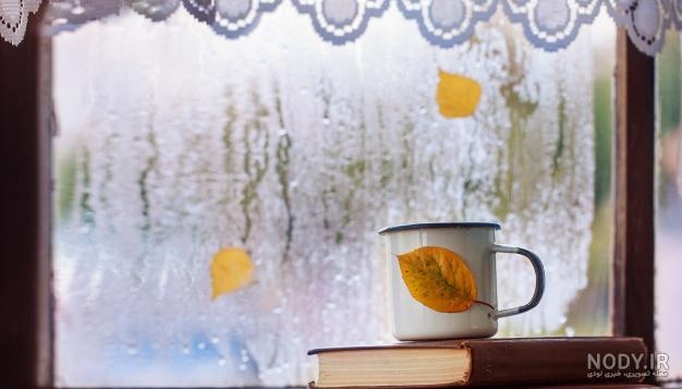 عکس فنجان چایی عکس فنجان چایی