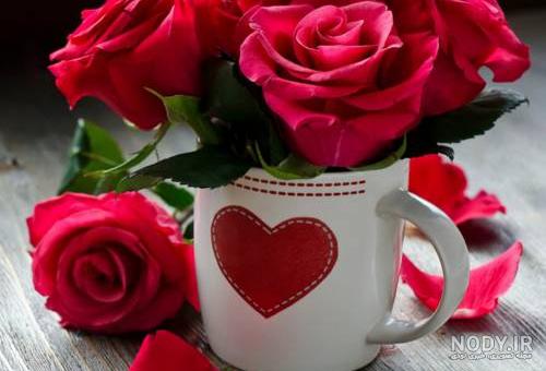 عکس قشنگ برای پروفایل