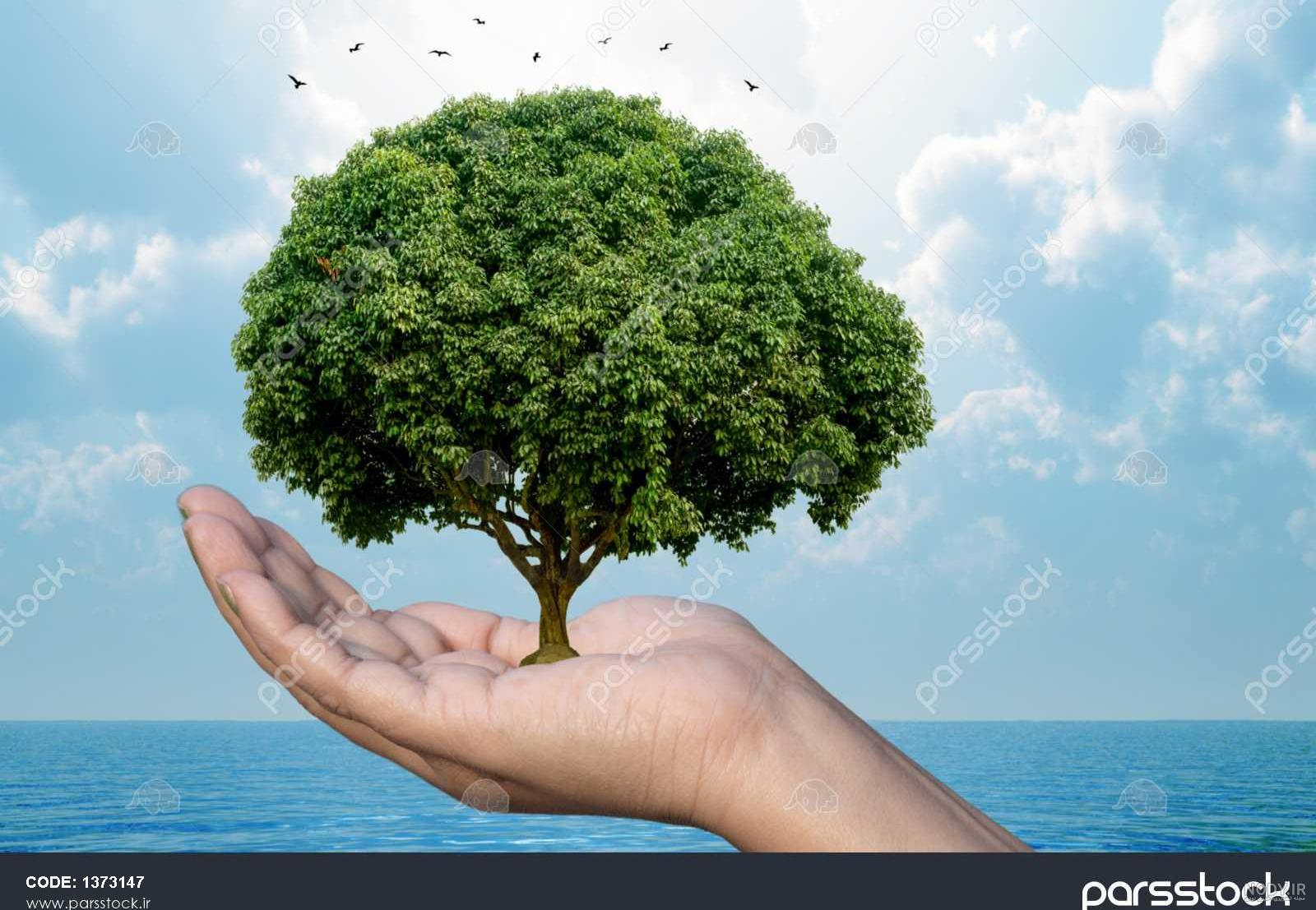 عکس مفهومی گرافیکی عکس مفهومی گرافیکی