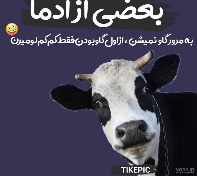 عکس نقاشی گاو فانتزی عکس نقاشی گاو فانتزی