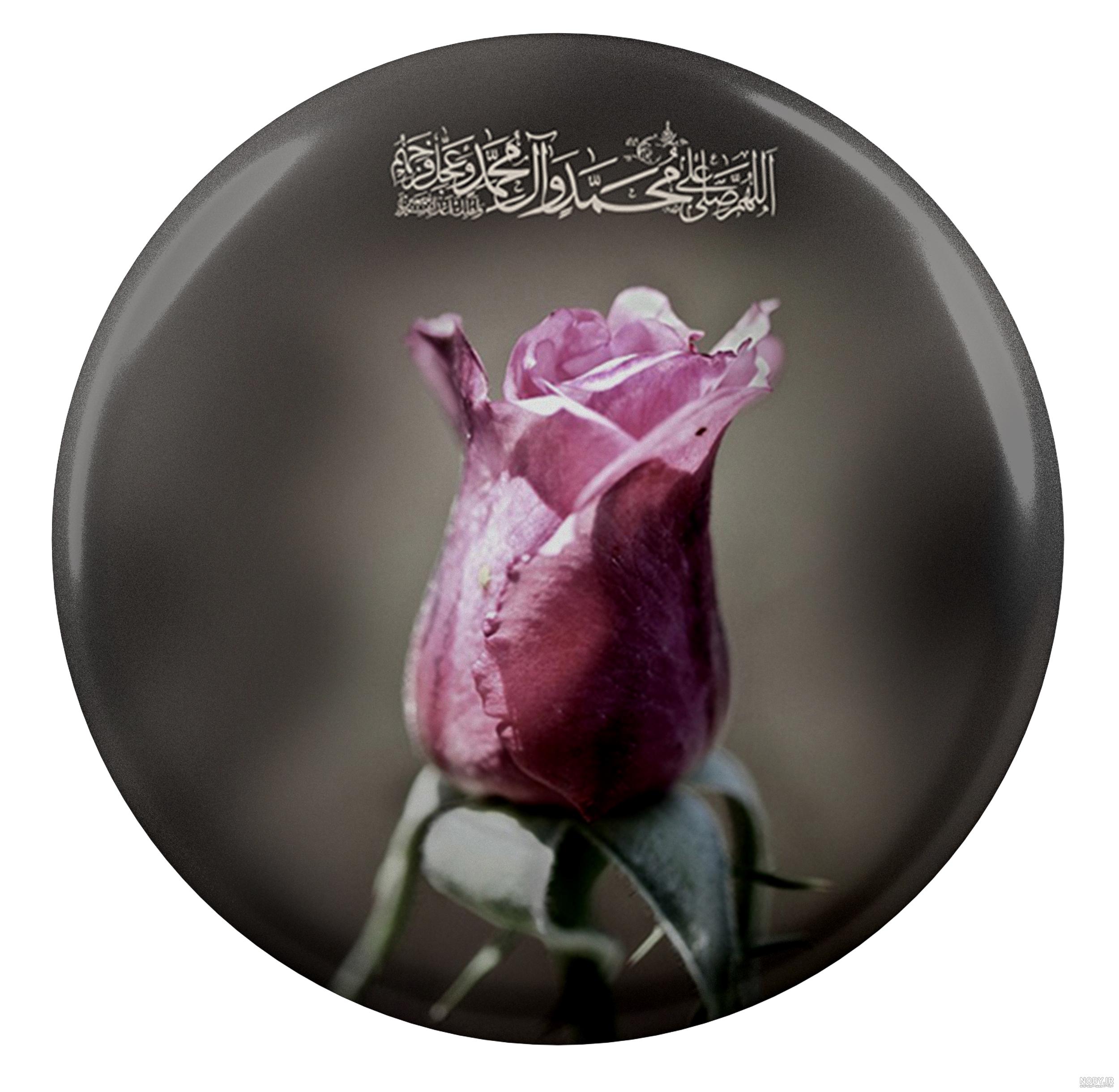 عکس نوشته صلوات با گل عکس نوشته صلوات با گل
