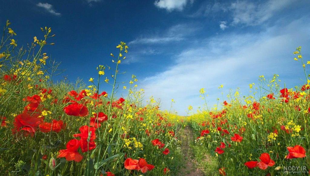 عکس های با کیفیت از طبیعت ایران عکس های با کیفیت از طبیعت ایران