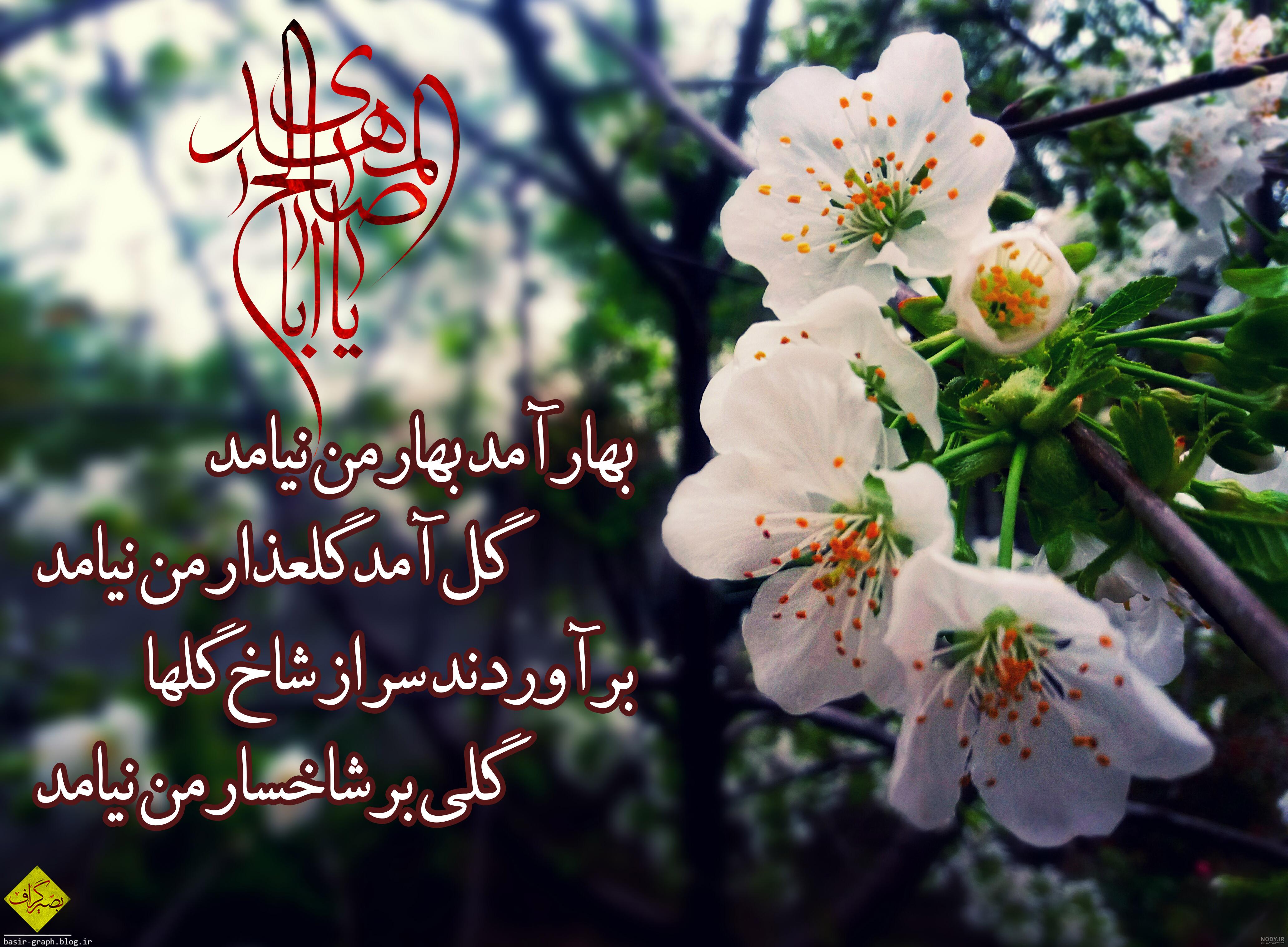 عکس پروفایل بهاری خاص