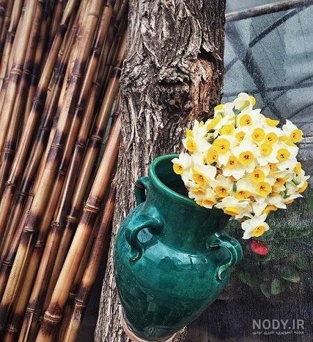 عکس گل در دست پسر