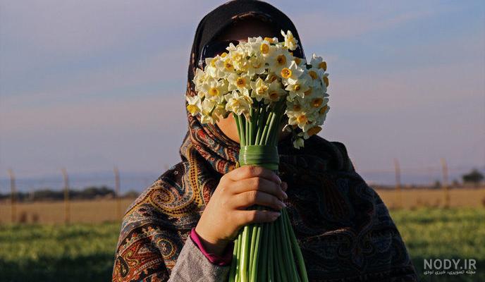 عکس گل نرگس با دست