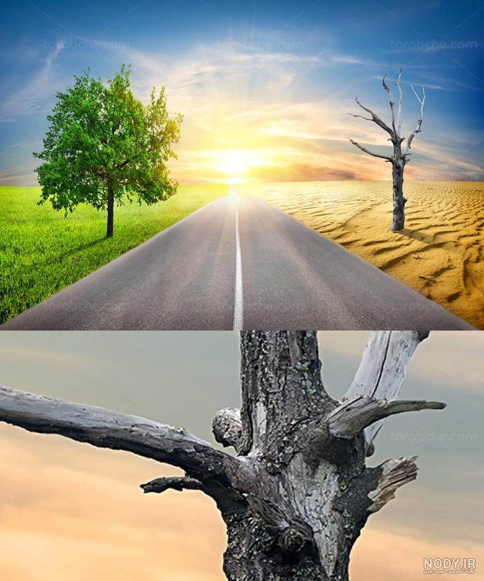 عکسهای مفهومی طبیعت عکسهای مفهومی طبیعت