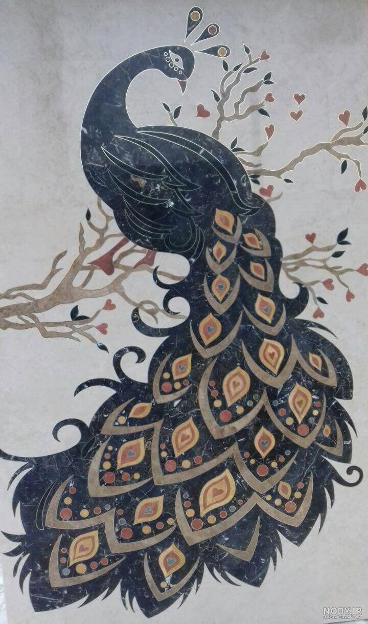 فیلم بچه طاووس