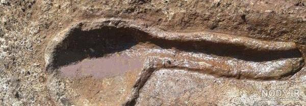 قبر گبری در جنگل