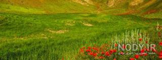 نقشه شهرستان های خراسان رضوی