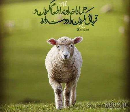 کلیپ عید قربان مبارک کلیپ عید قربان مبارک