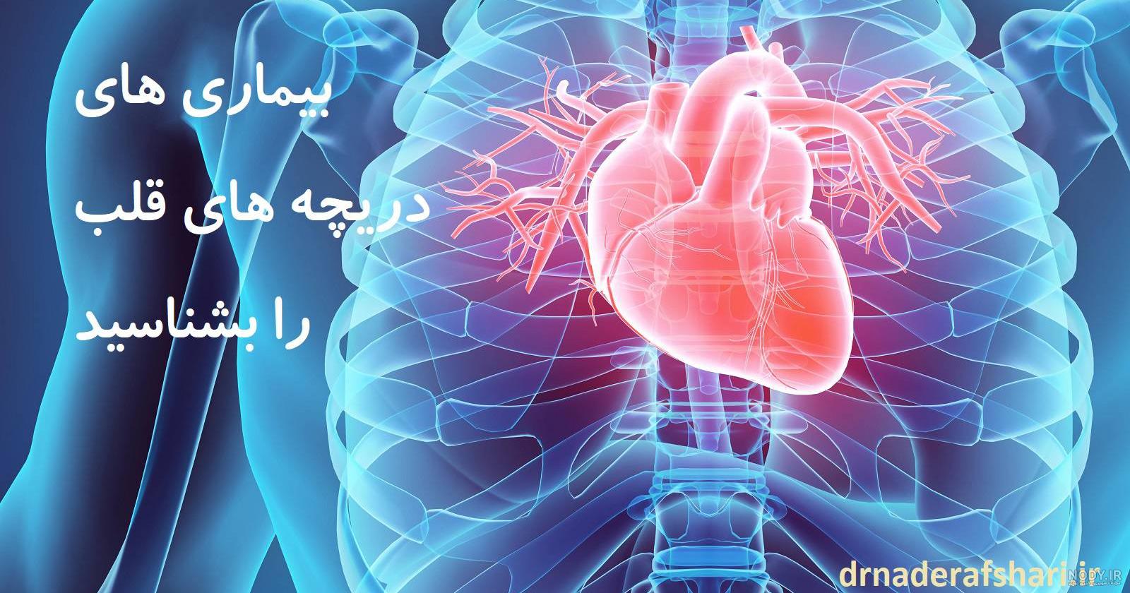 آناتومی قلب انسان pdf