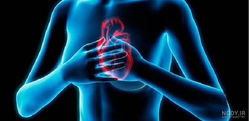 فیلم قلب انسان چگونه کار میکند