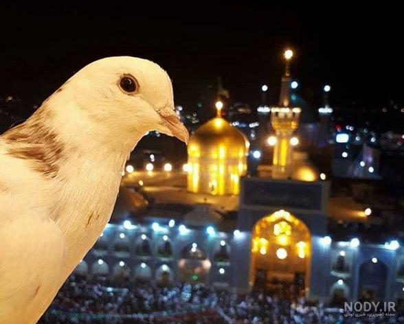 متن برای عکس حرم امام رضا
