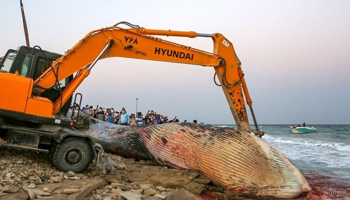 عکس خفن عکس جزیره کیش از بالا