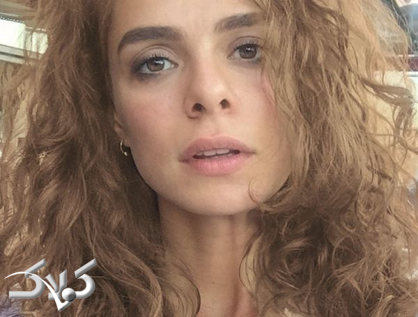 بیوگرافی شیرین در سریال زن بیوگرافی شیرین در سریال زن