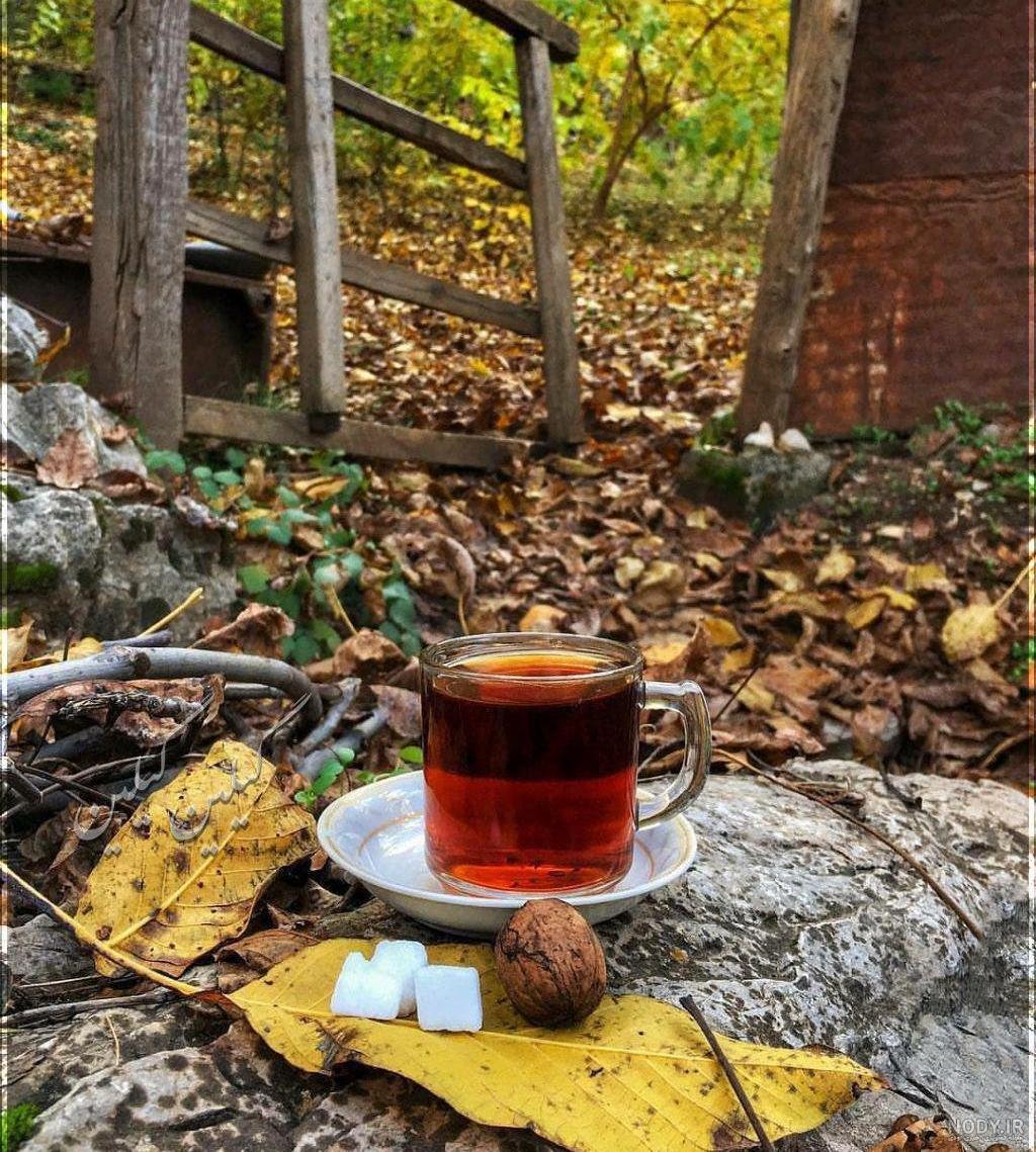 دانلود عکس طبیعت