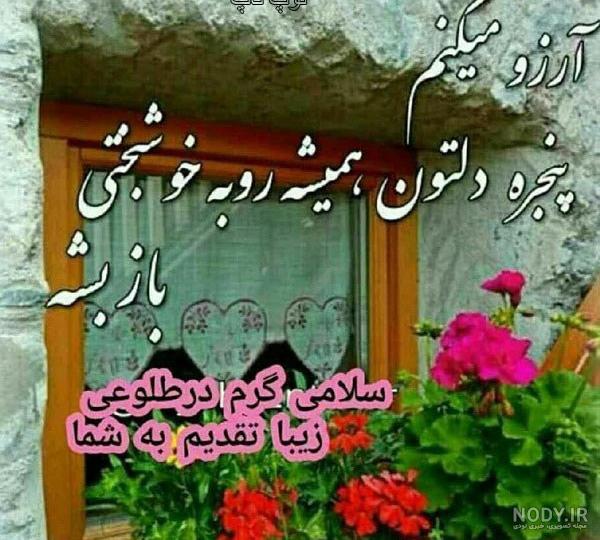 طبیعت زیبا