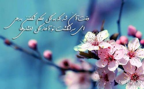 عکس بهاری عاشقانه عکس بهاری عاشقانه
