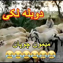 عکس خنده دار لری