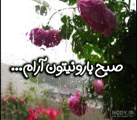 عکس صبح زیبای بارانی بخیر عکس صبح زیبای بارانی بخیر