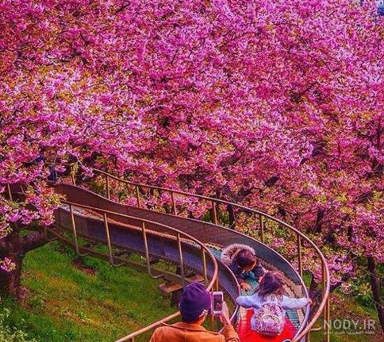 عکس طبیعت برای پروفایل تلگرام