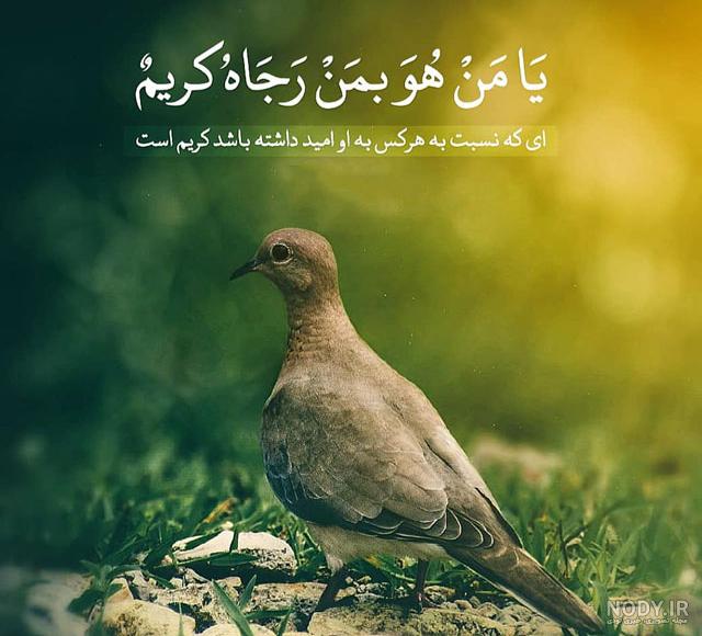 عکس قرآن كريم