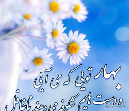 عکس نوشته بهار غمگین عکس نوشته بهار غمگین