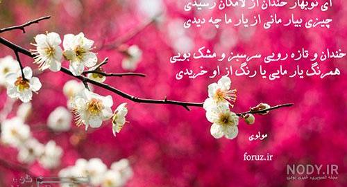 عکس نوشته گل بهار عکس نوشته گل بهار
