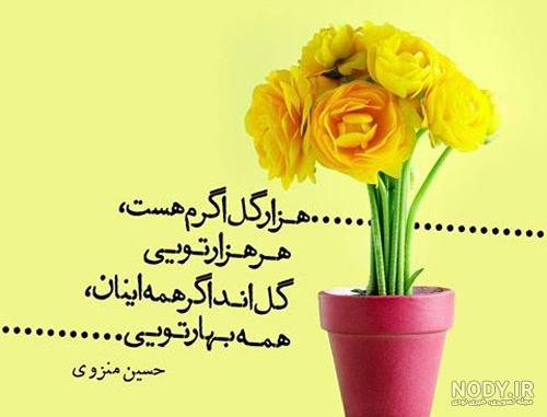 عکس نوشته گل بهاری عکس نوشته گل بهاری
