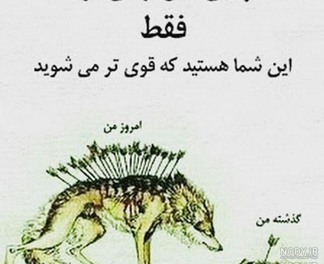 عکس پروفایل لاتی دخترونه