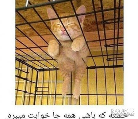 متن طنز برای وضعیت واتساپ