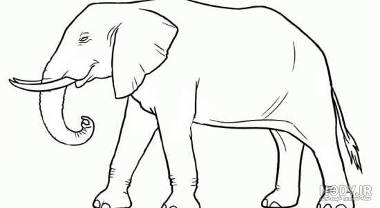 نقاشی فیل سخت