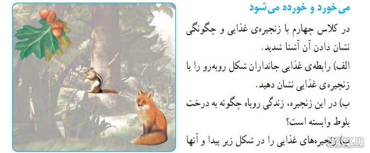 پی دی اف علوم ششم 99 پی دی اف علوم ششم 99