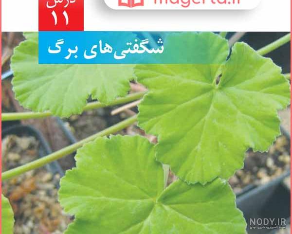 پی دی اف علوم ششم با جواب پی دی اف علوم ششم با جواب