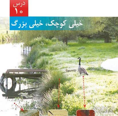 پی دی اف علوم ششم با جواب پی دی اف علوم ششم با جواب