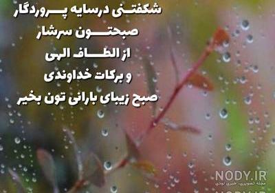 کلیپ صبح بخیر یکشنبه کلیپ صبح بخیر یکشنبه