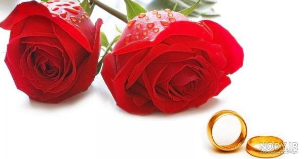عکس پروفایل گل عکس پروفایل گل