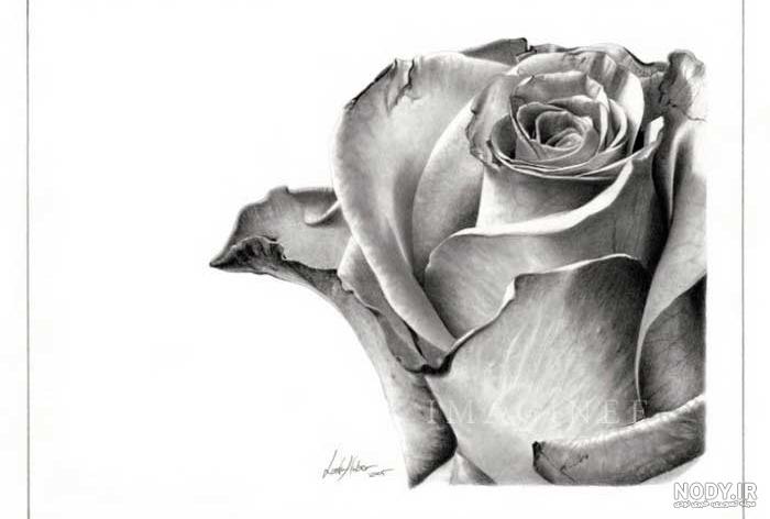 نقاشی عاشقانه با راپید