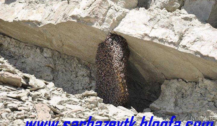 آموزش کریشی ساده