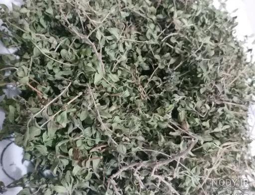 آویشن به ترکی آویشن به ترکی