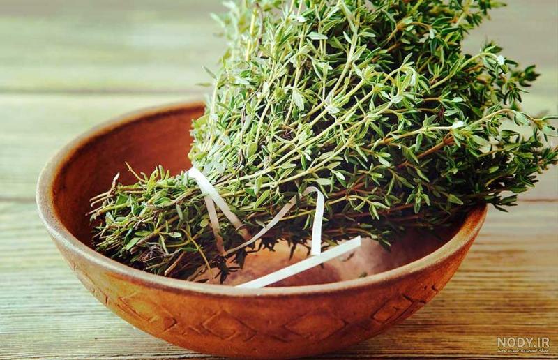 خواص آویشن شیرازی خواص آویشن شیرازی