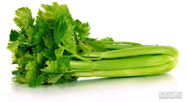 خواص اب کرفس برای ریه خواص اب کرفس برای ریه