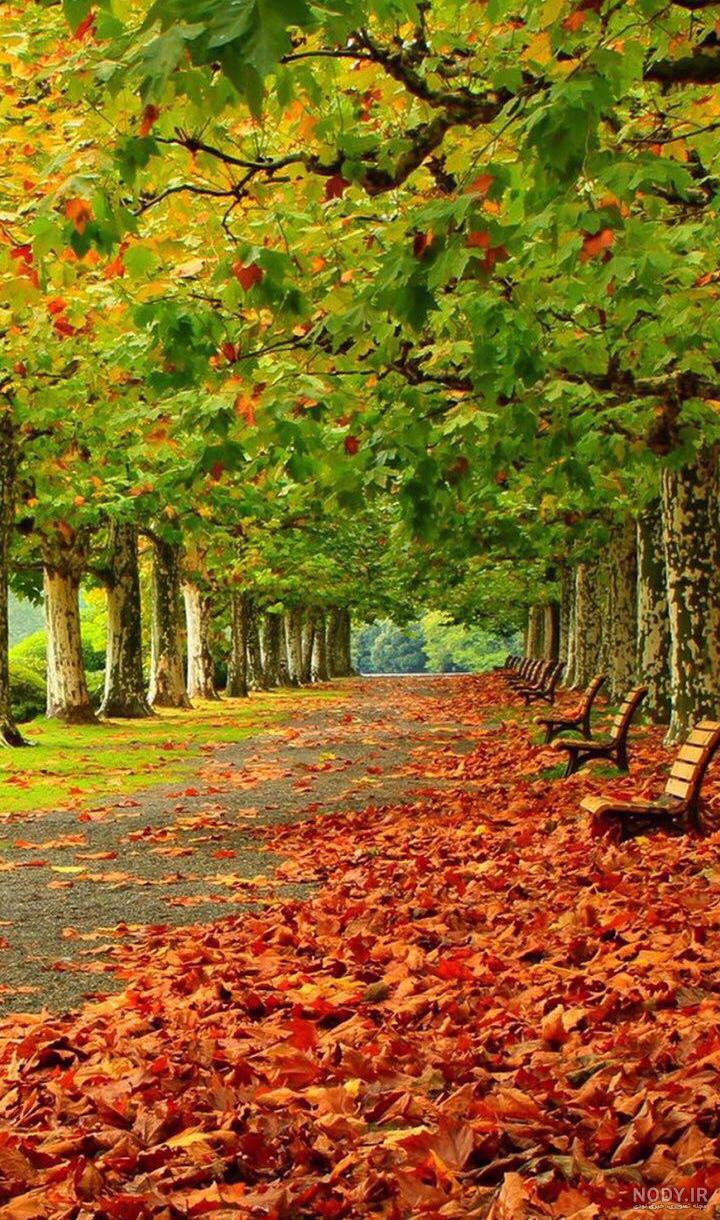 دانلود عکس طبیعت برای پس زمینه گوشی
